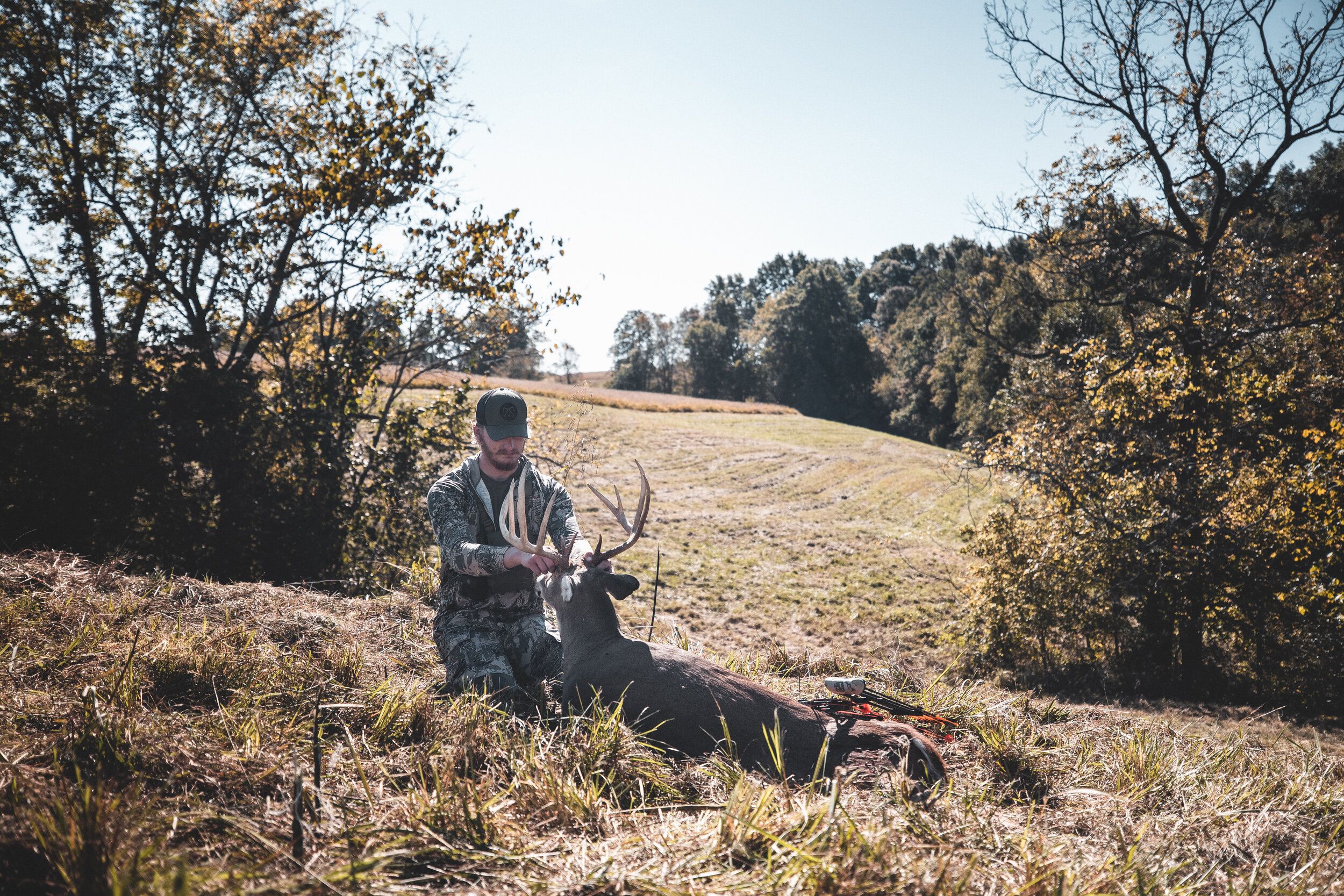 A hunter with a deer after a successful shot, food plot concept. 