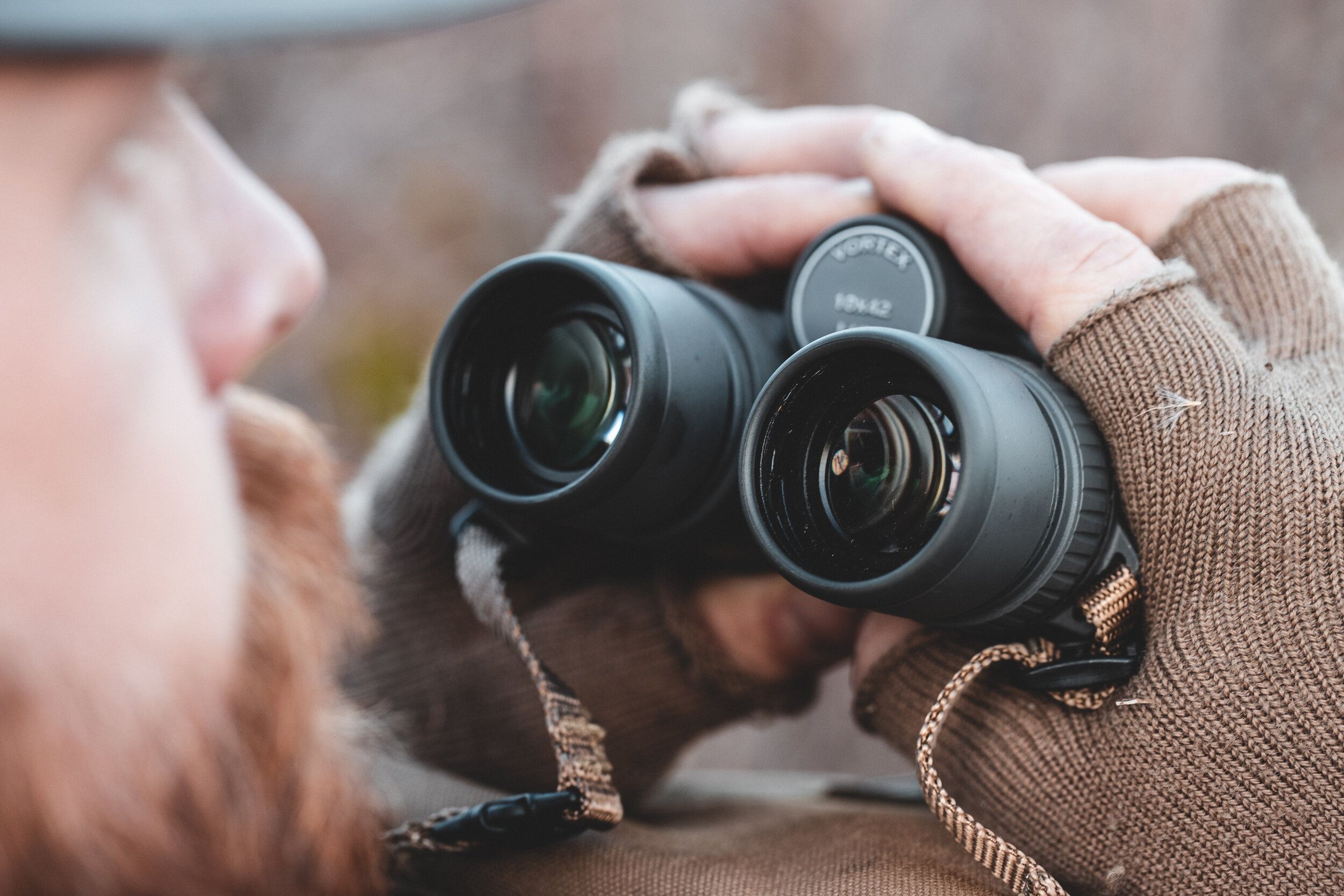 A hunter use binoculars, squirrel hunting tips. 