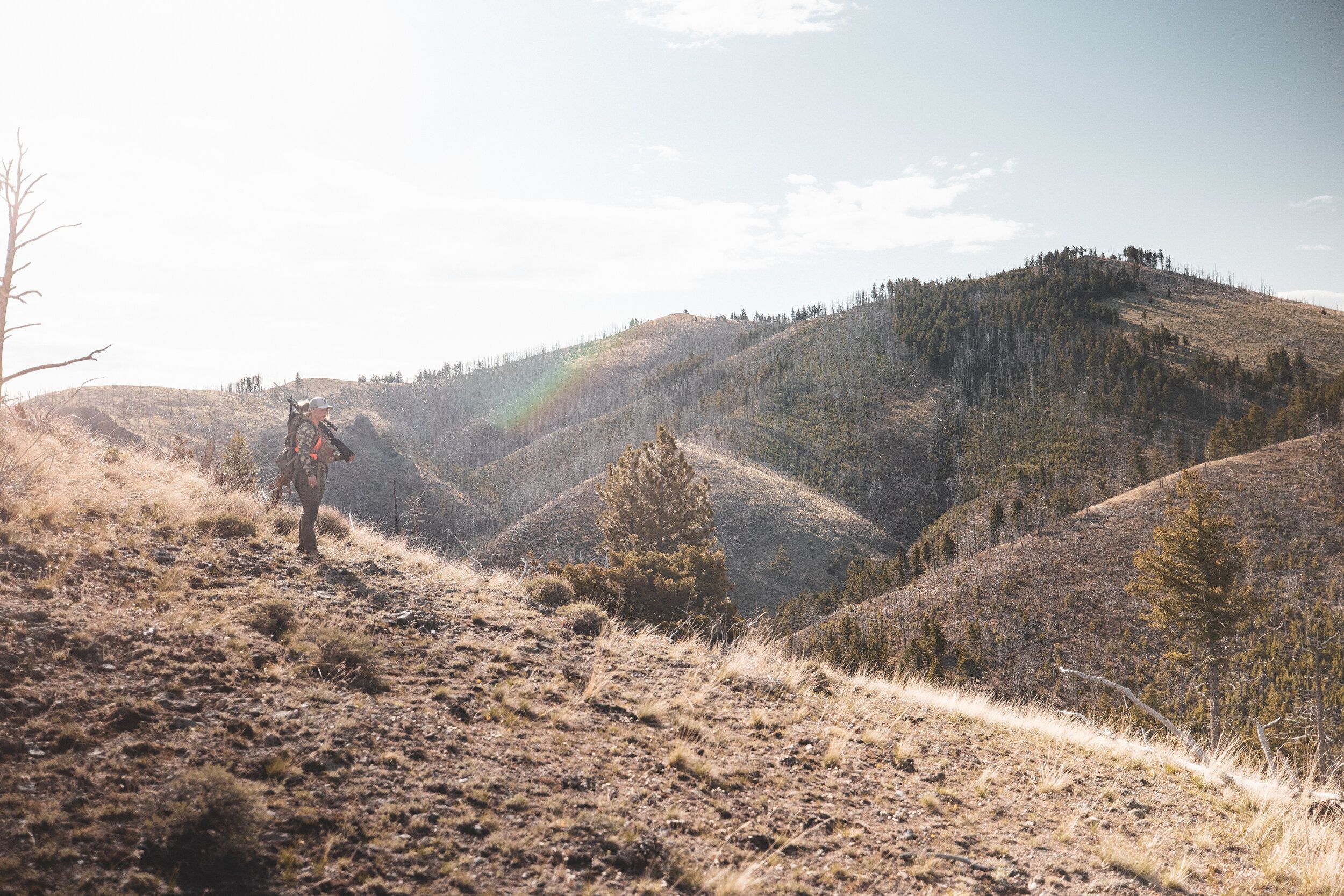 Wide shot of a hunter on a hill, black bear hunting concept. 