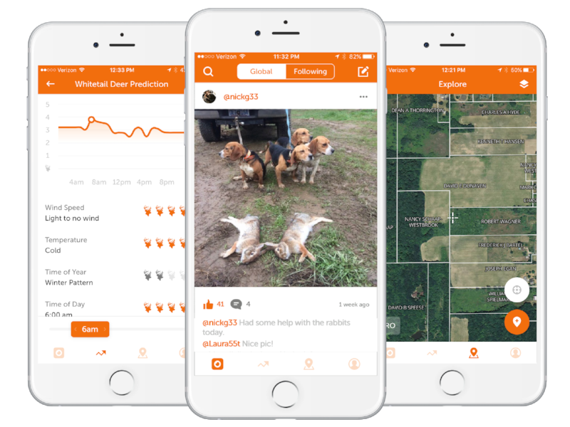 Best Times to Hunt Rabbit HuntWise