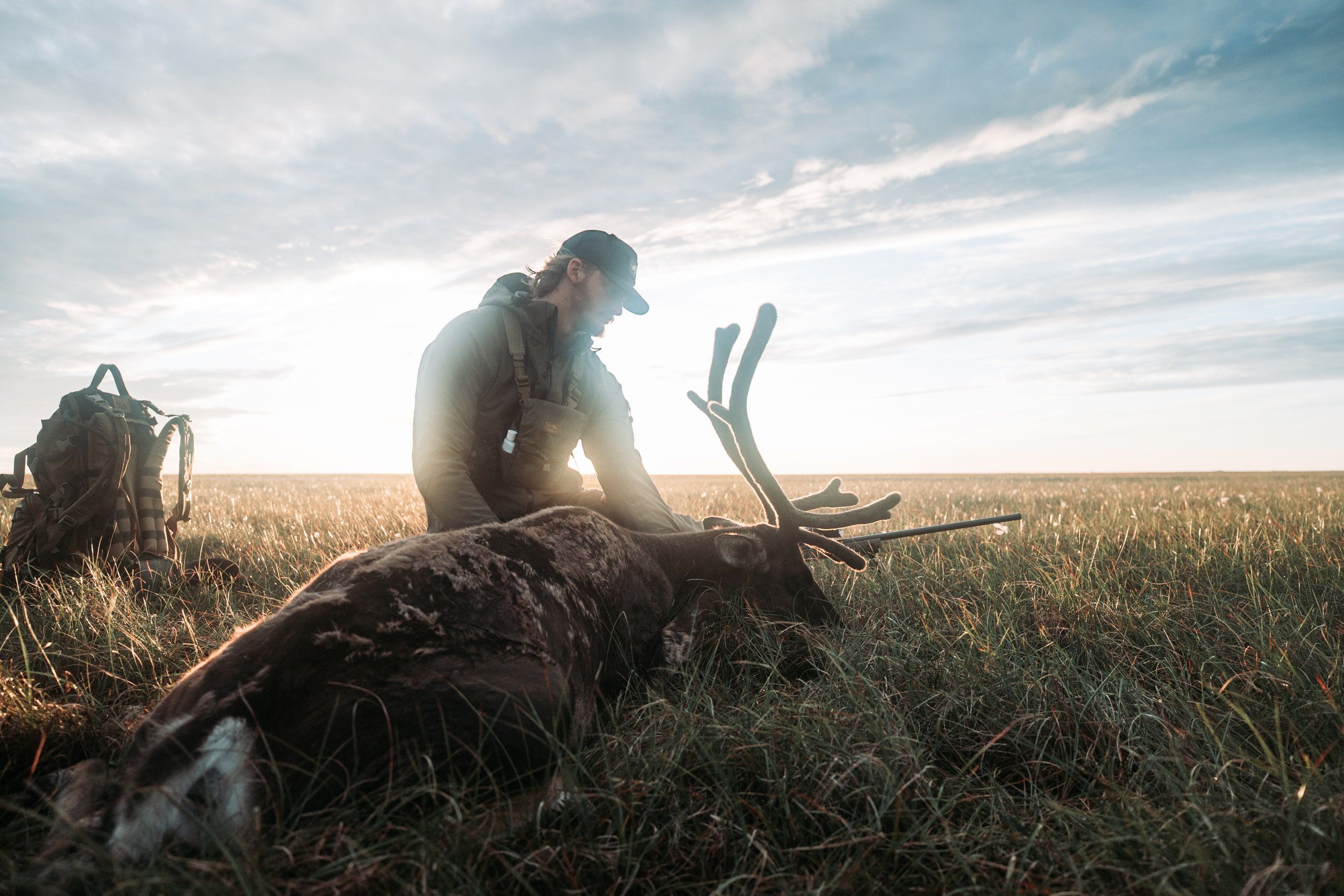 A hunter leans over an elk kill, successful western hunting concept. 