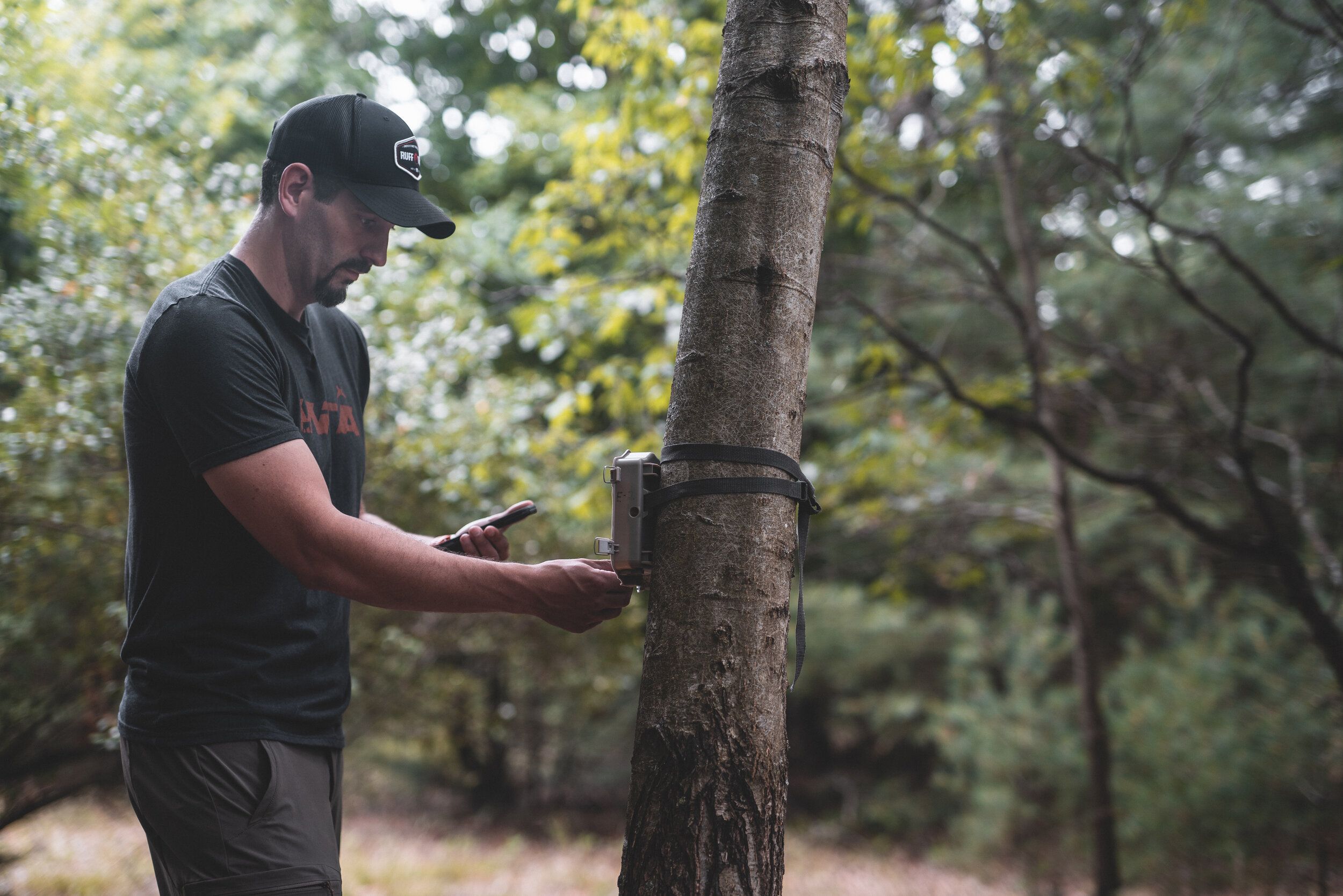 A deer hunter checks a trail camera on a tree. 