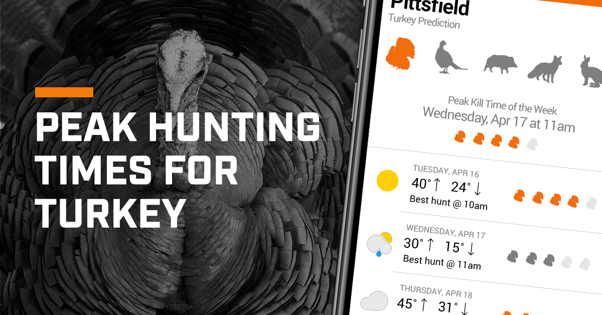 Check the forecast on your HuntWise app during turkey season. 