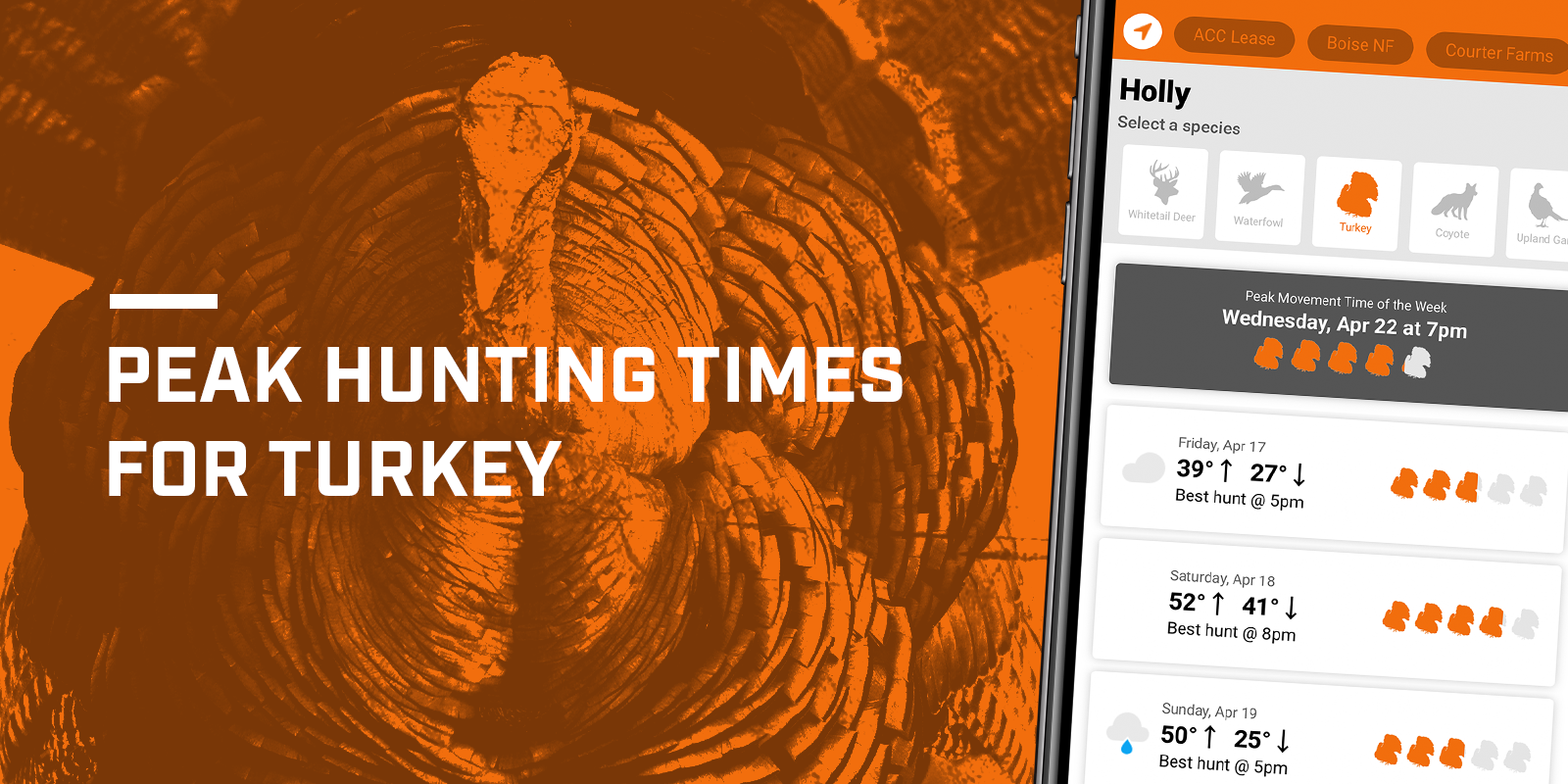 Find peak hunting times for turkey with HuntWise, spring tom concept. 