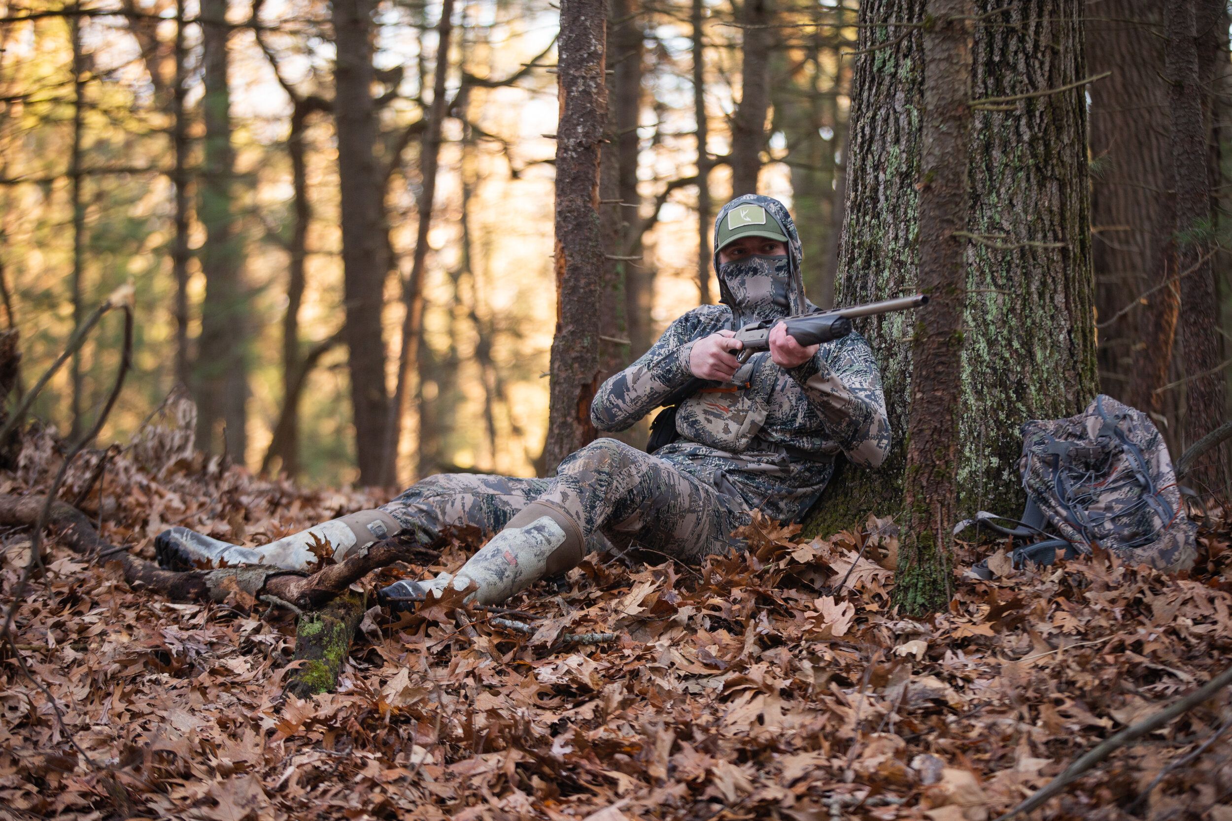 2025 Arkansas Turkey Hunting: Best Strategies For A Trophy Bird - pfbcnt9