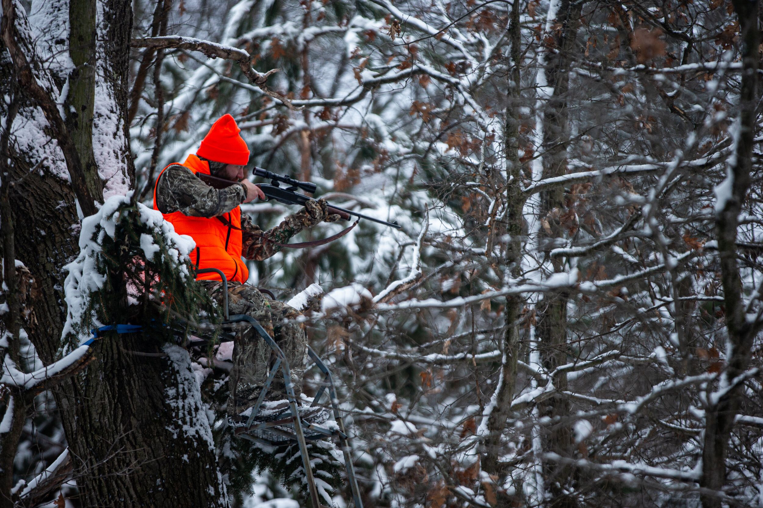 The Ideal Conditions for Late-Season Deer Hunts