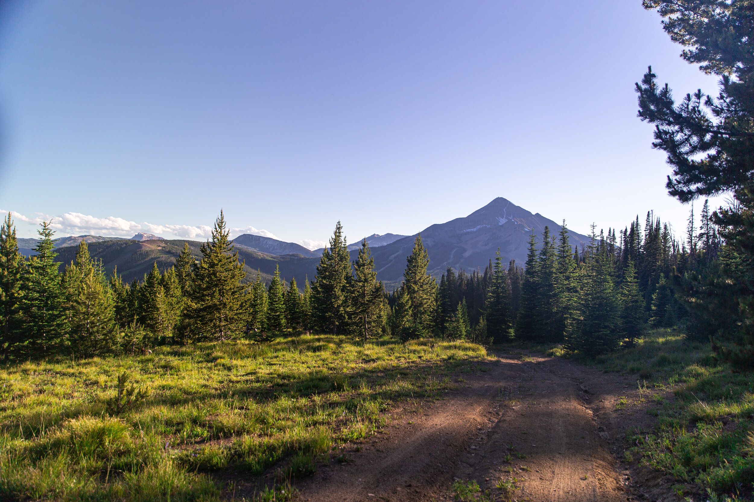 A trail leading into the woods with mountains in the background, e-scouting for elk concept. 