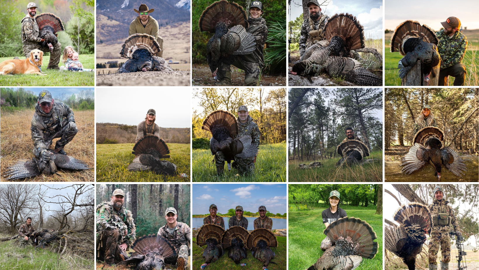 HuntWise app users show turkey hunting success.