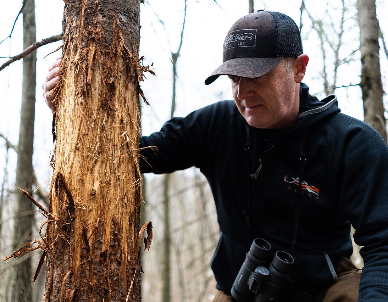 Jeff Sturgis looks at a whitetail scrape on a tree, whitetail habitat concept. 