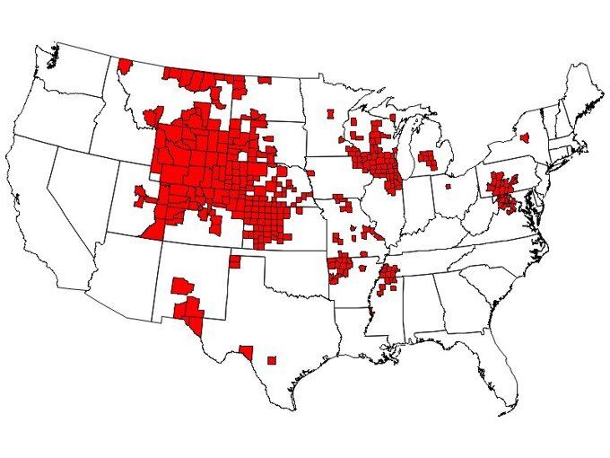 A map of the United States showing where chronic wasting disease is found in deer. 