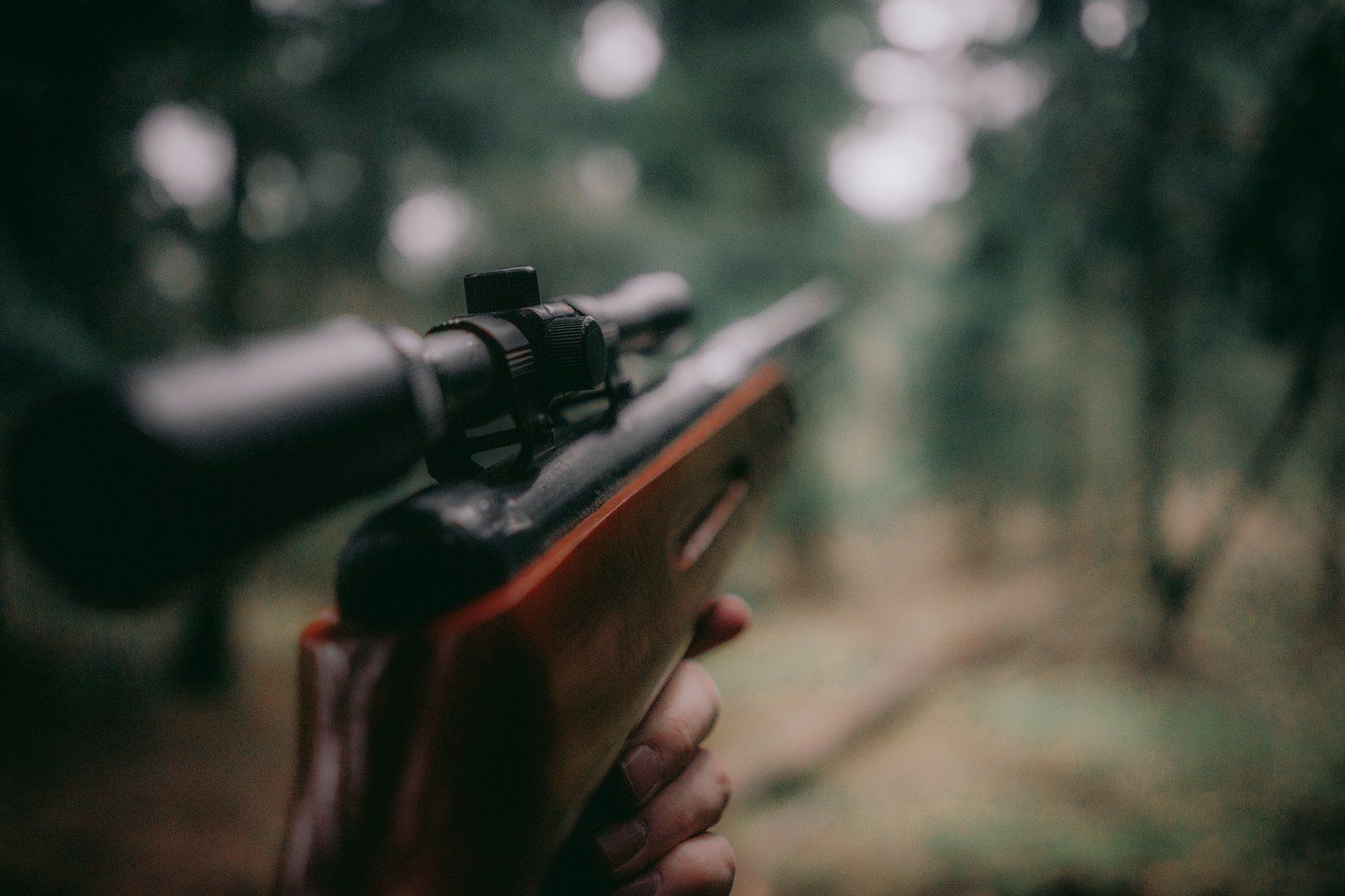 Close-up of a rifle pointing toward a blurred background, prepare for gun season opening day. 