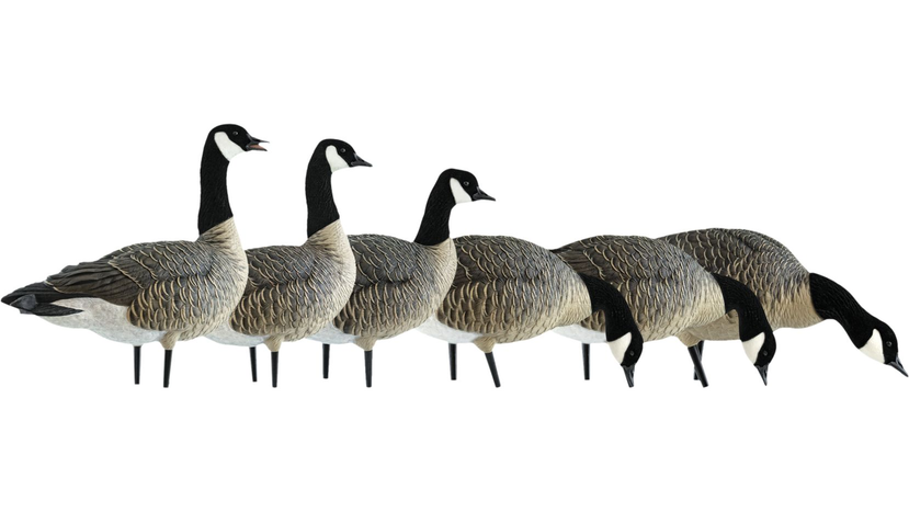 Full Bodied Duck Decoys