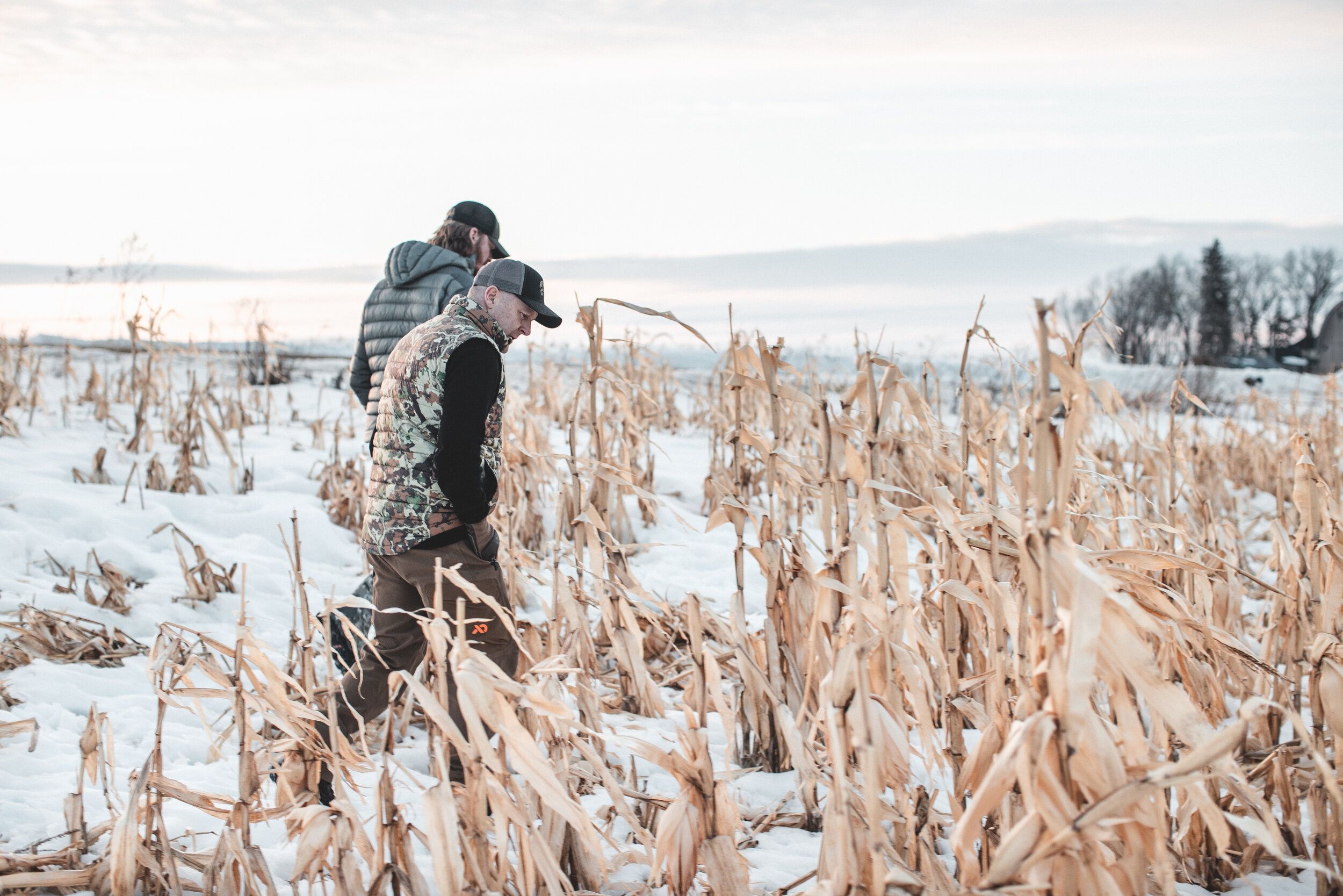 Hunters look for antlers, shed hunting concept. 